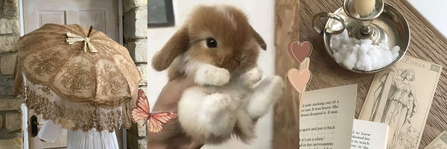 risesmoonchild's profile banner image