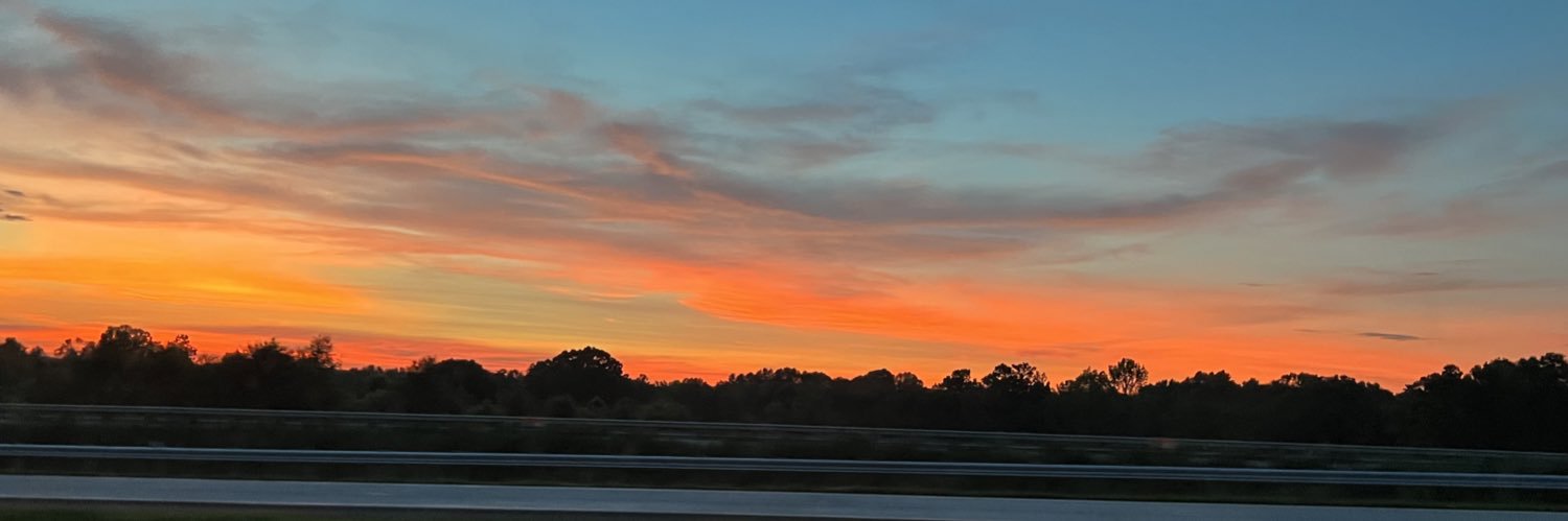 Emilyb39303's profile banner image