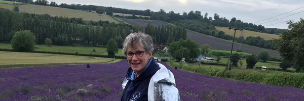 luckdragons5 Profile Banner