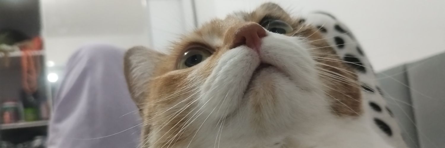 dudaemariae's profile banner image