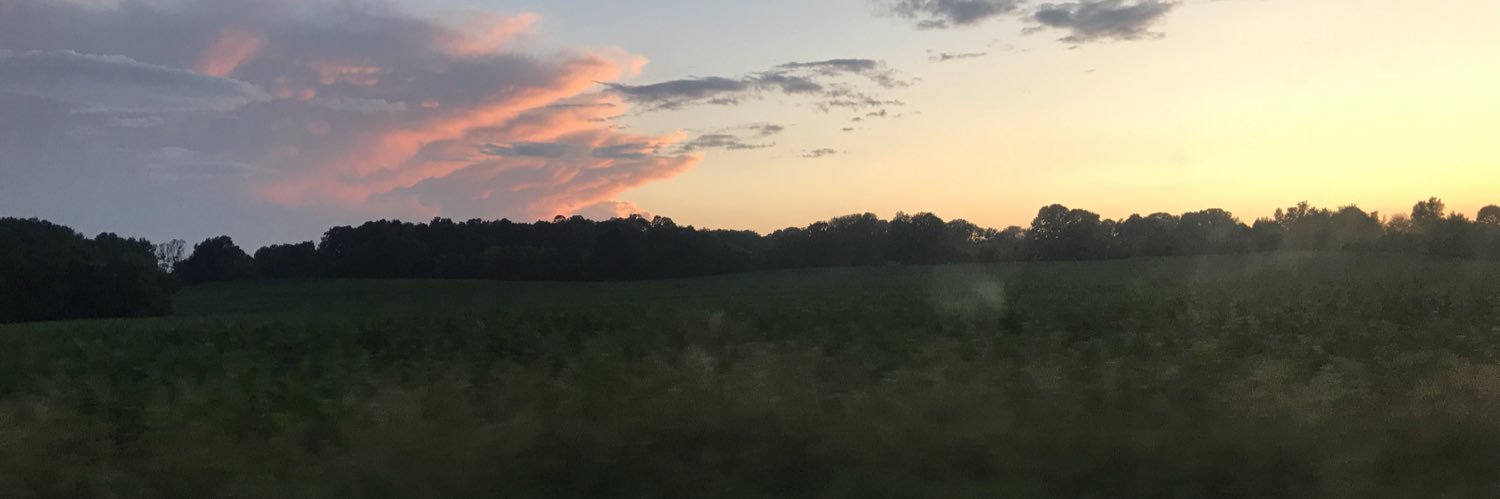 LColey_'s profile banner image
