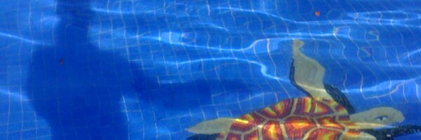 7PODER7 Profile Banner