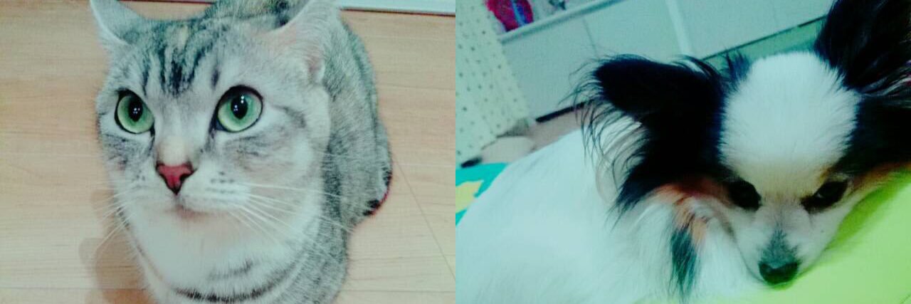 1cy_24's profile banner image