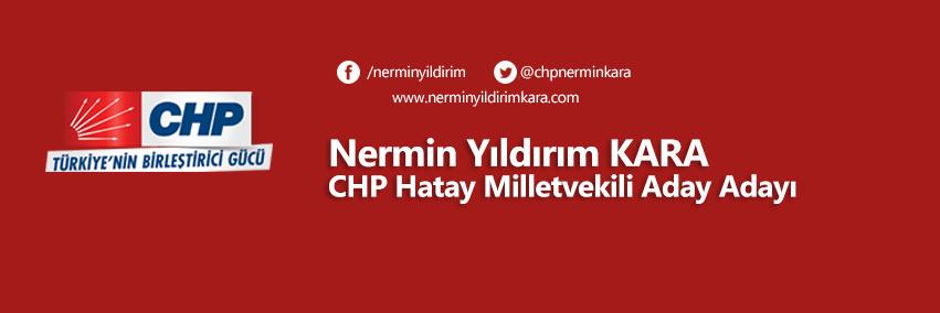 chpnerminkara's profile banner image