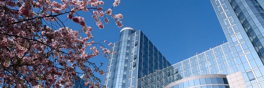 Cliona Connolly banner