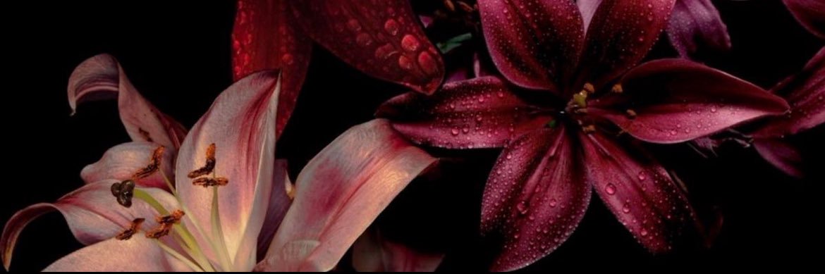 Jaimepersonnee's profile banner image