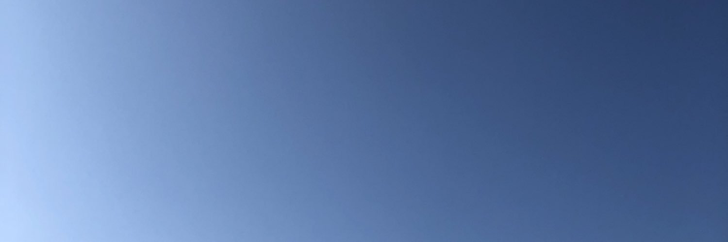 luaraamel_'s profile banner image