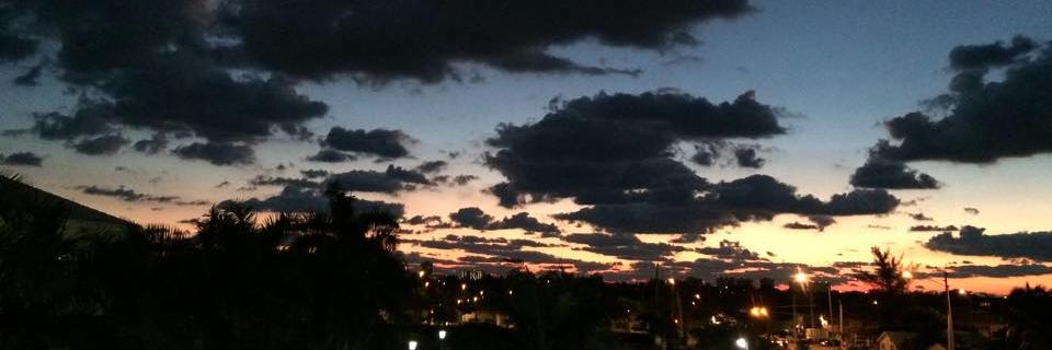 Trish Everett banner