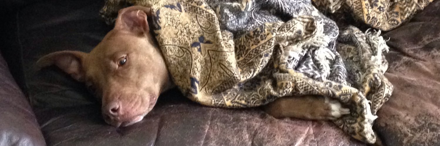 Aaron Graziano banner