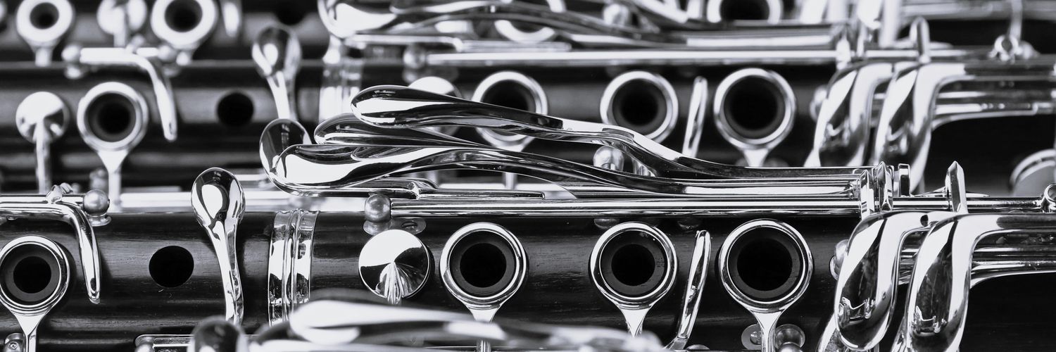 dpmclarinet's profile banner image