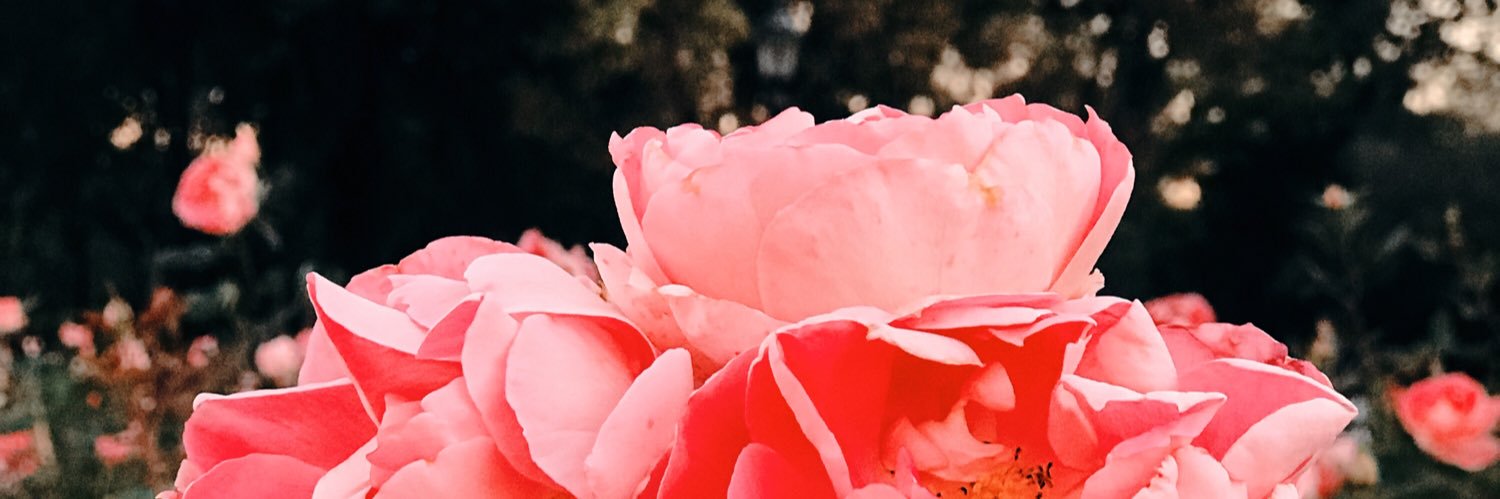 Flor banner