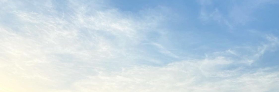tn____yy's profile banner image