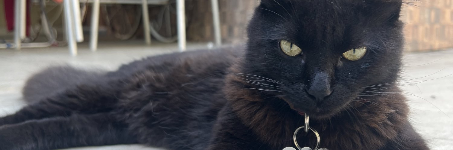 cecilialimaa2's profile banner image
