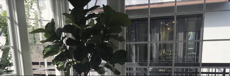 fucktheamazon's profile banner image