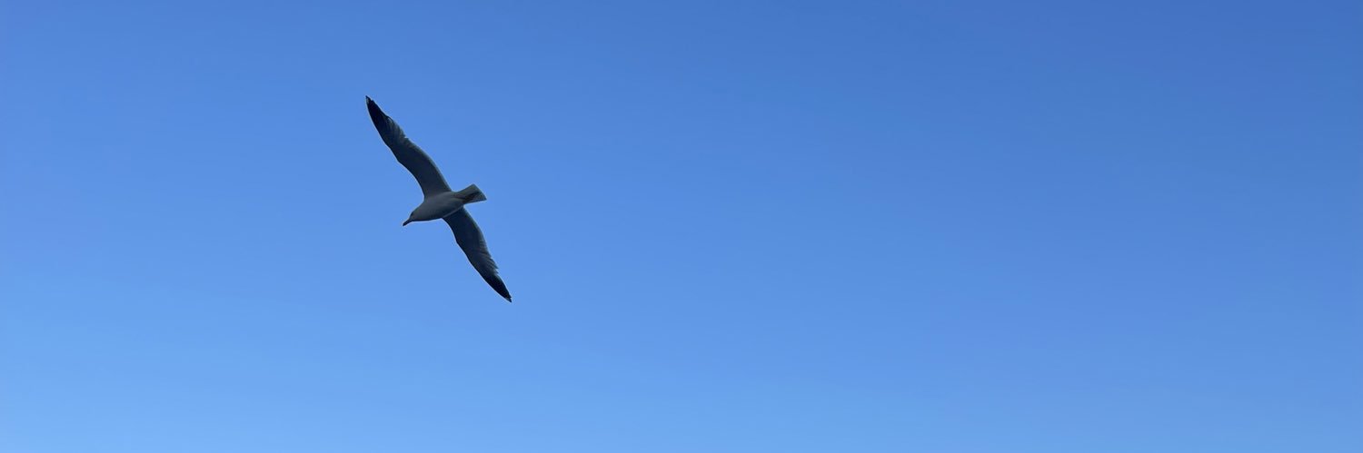 eliafen's profile banner image