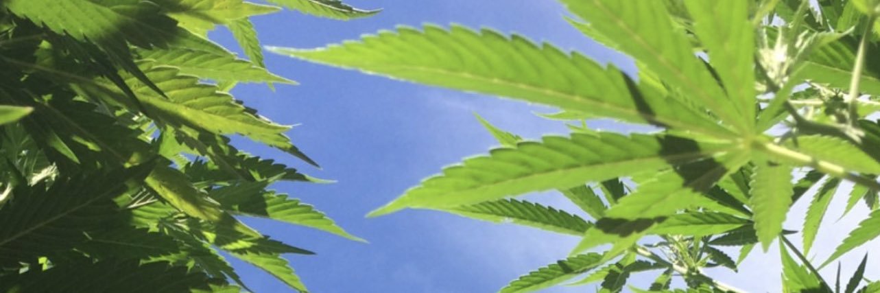 ChefNappi's profile banner image