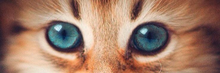 MargotHelin's profile banner image