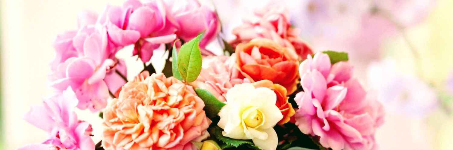 sallywilson72's profile banner image