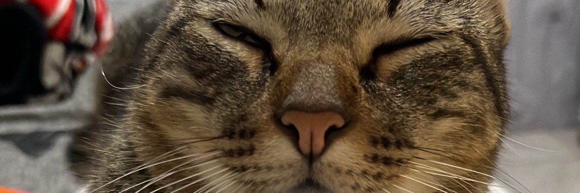 helmalu_'s profile banner image