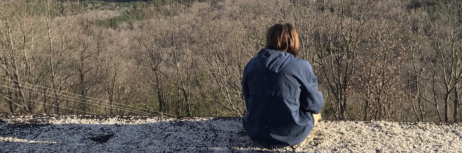 HealyCole's profile banner image