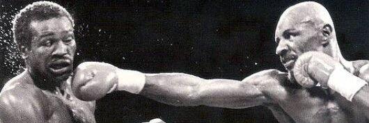 The_Boxing_Fan's profile banner image