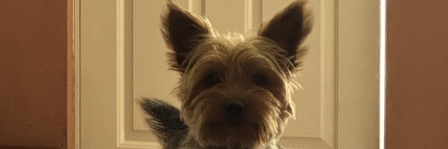 sooftello's profile banner image