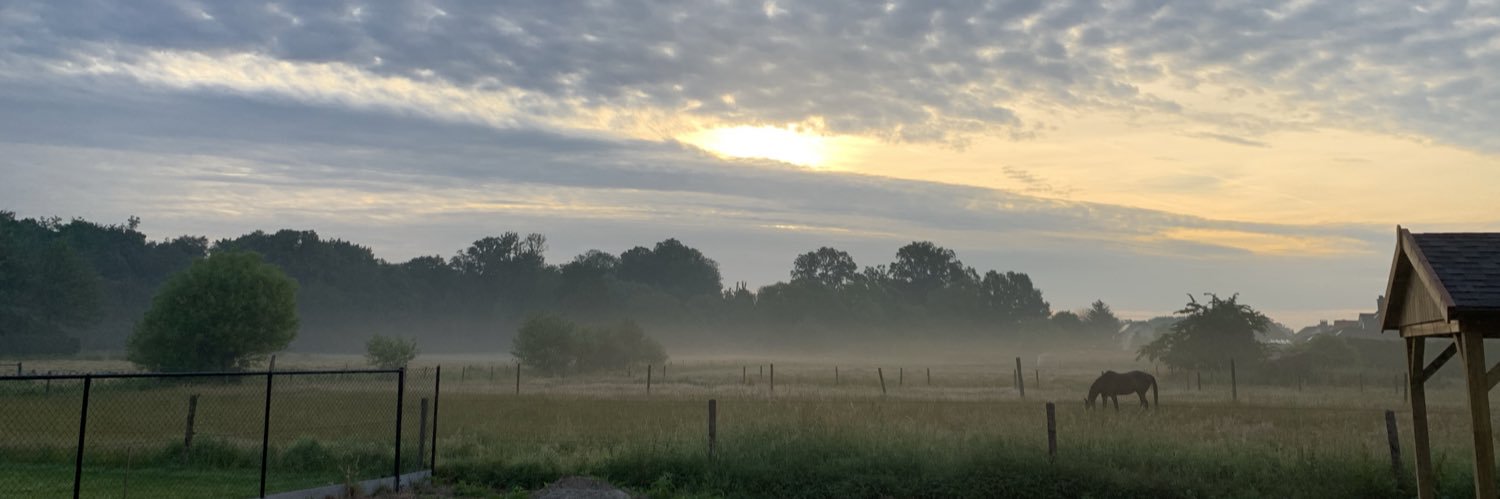 Frederik Munster banner