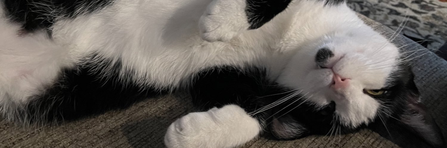 ch_lorine's profile banner image