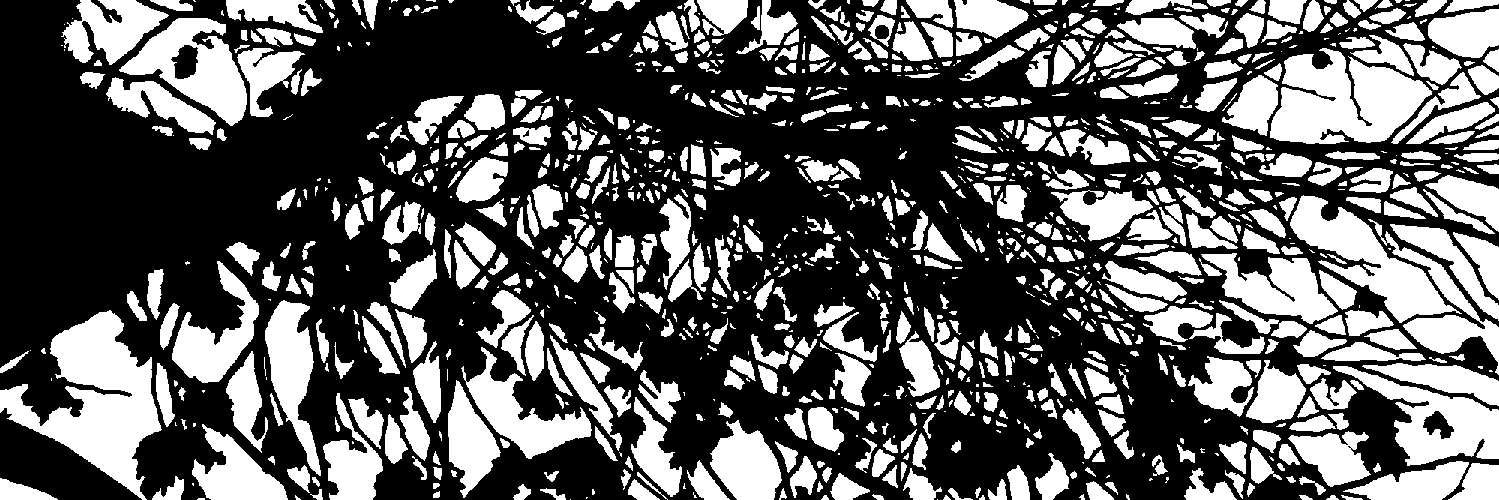 WClaroscuro's profile banner image