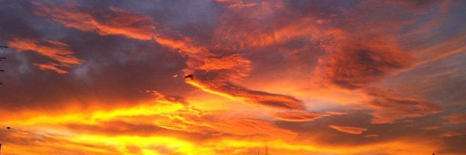 arenap81's profile banner image