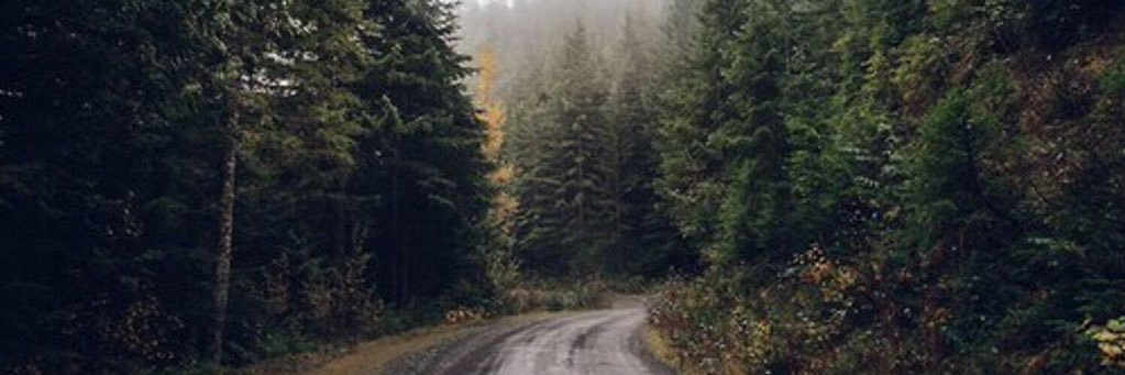 http_cholo's profile banner image