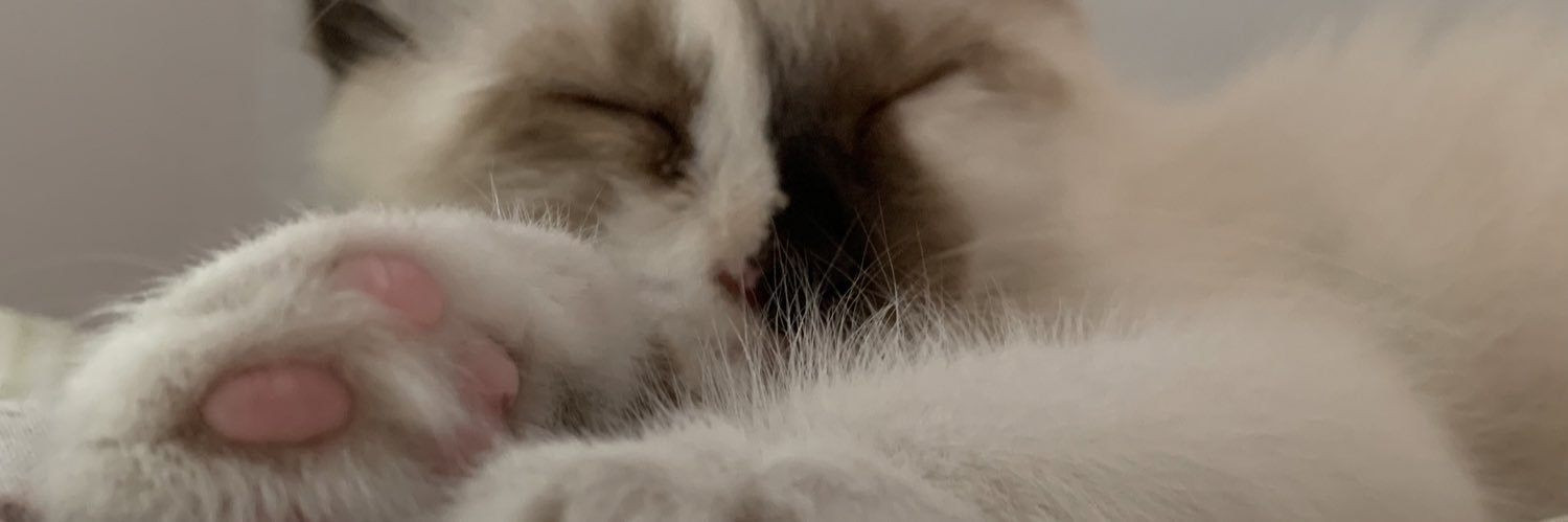 stephatefy's profile banner image