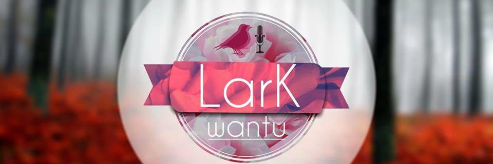 LarkWantu's profile banner image