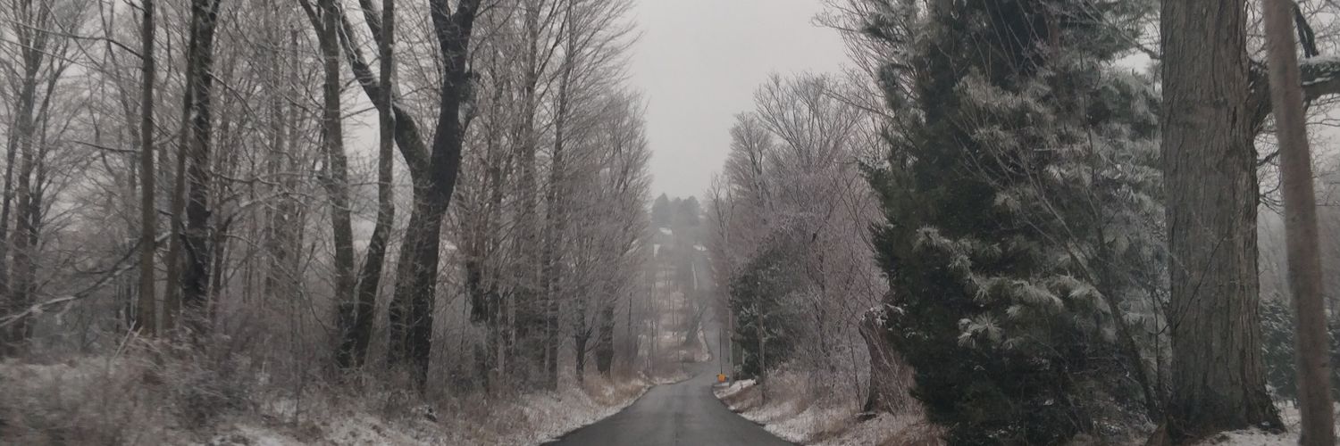 erilew93's profile banner image