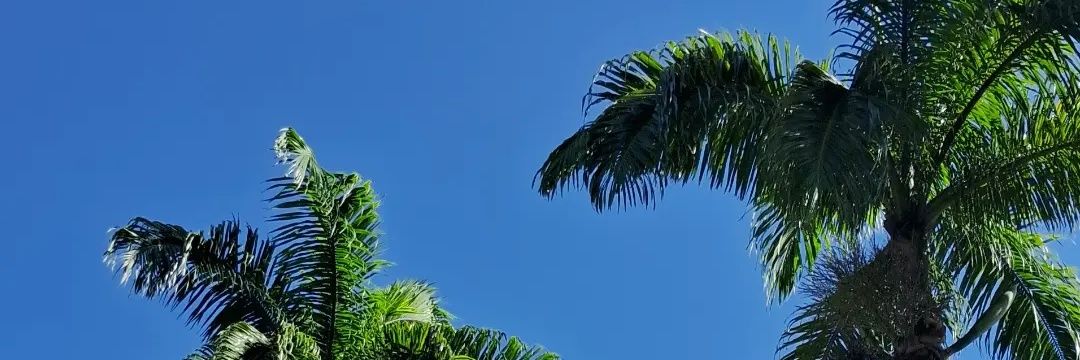 Tuane_rs's profile banner image