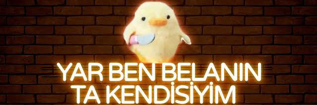 bilgeonkac's profile banner image