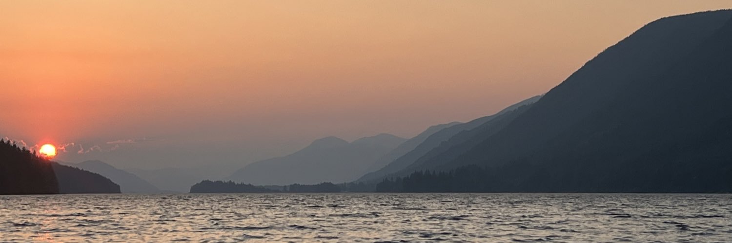 LynneaNess's profile banner image