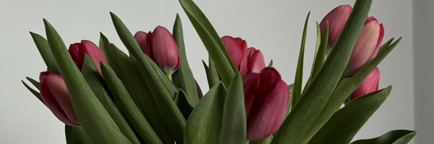 _nabeehas's profile banner image