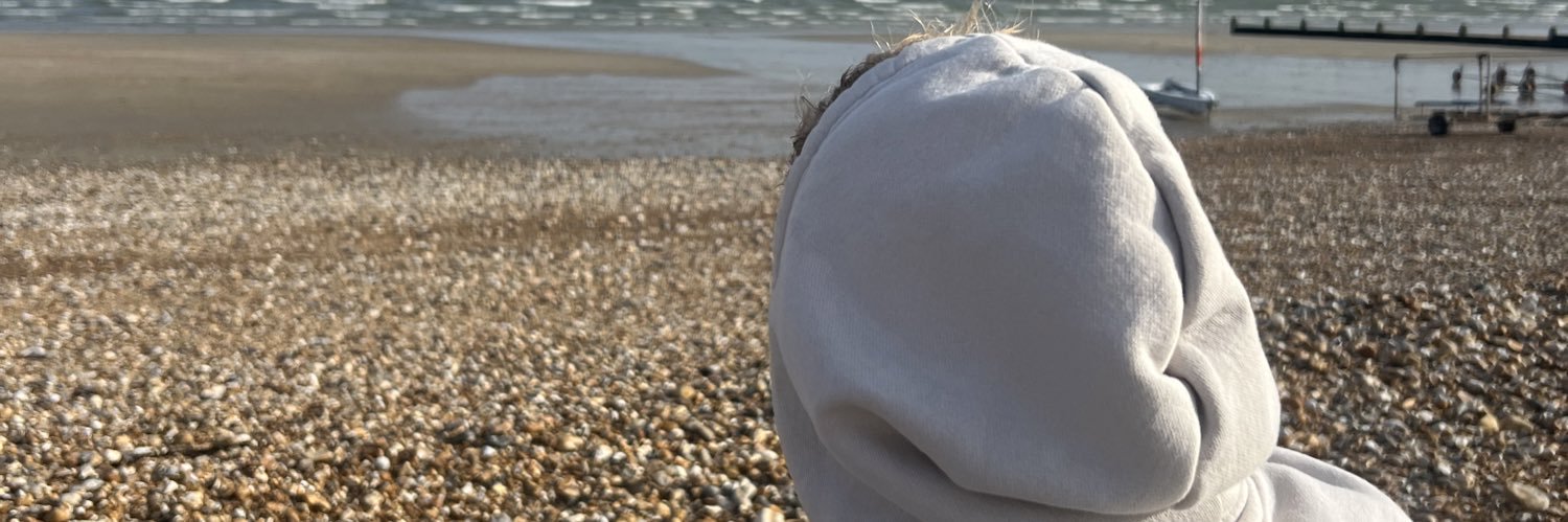 StevensonAlicee's profile banner image