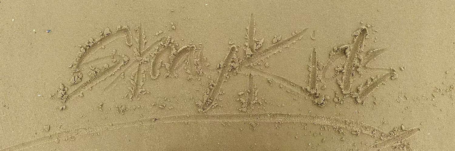lis__frost's profile banner image