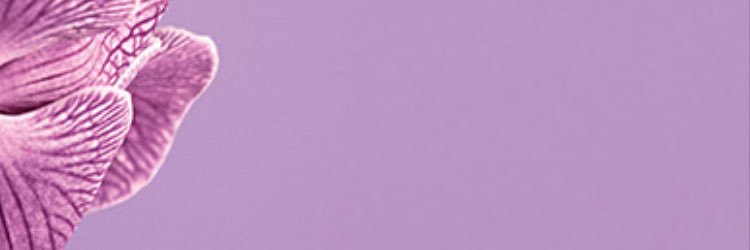 HeatherLJohnso4's profile banner image