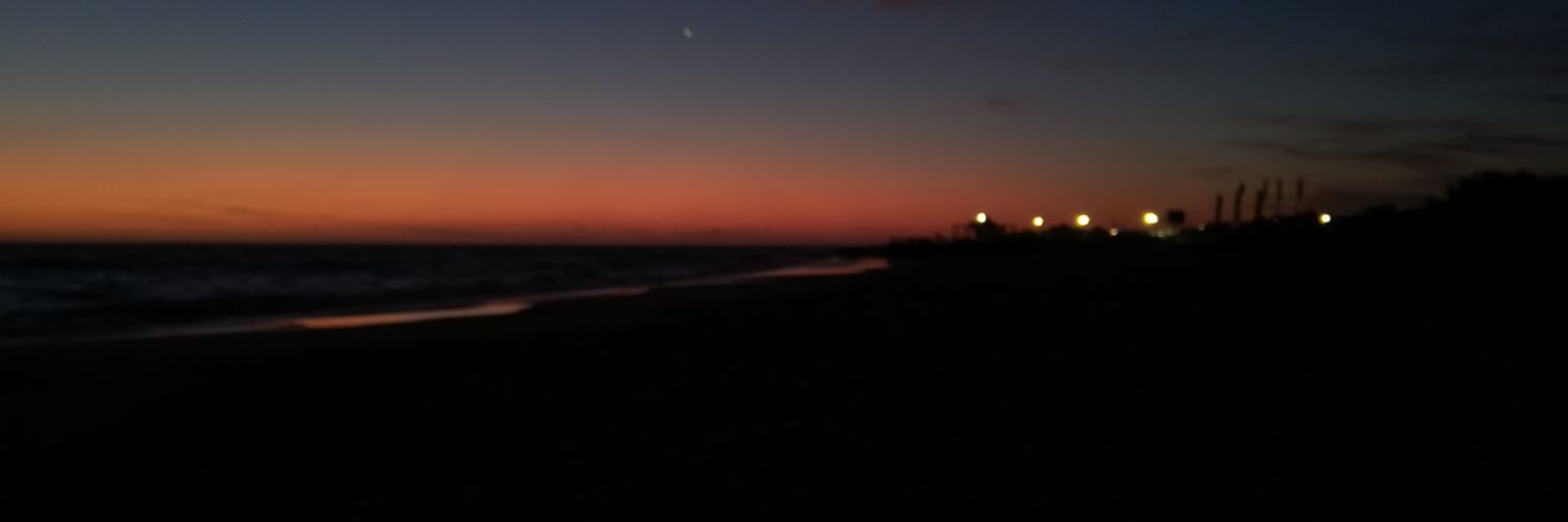 CrisDavico's profile banner image