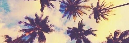 __ileray's profile banner image
