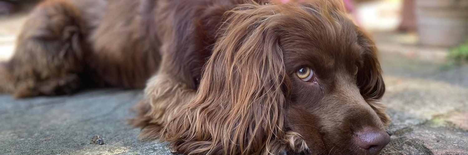 Ben there done that banner