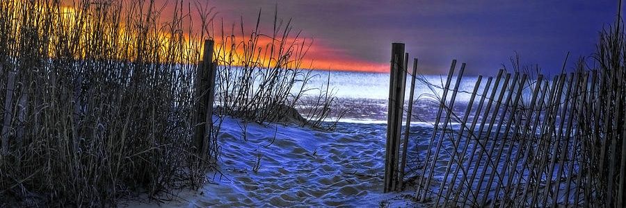 Liza_Malcolm's profile banner image