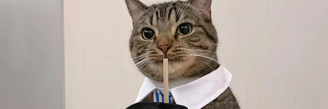 freeshrugs_'s profile banner image