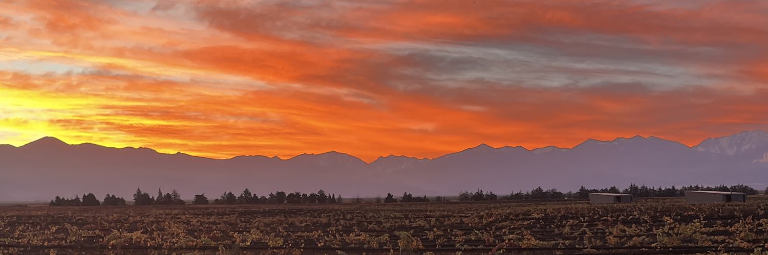 pawilucha's profile banner image