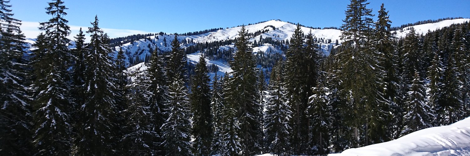 M_Delcourte's profile banner image