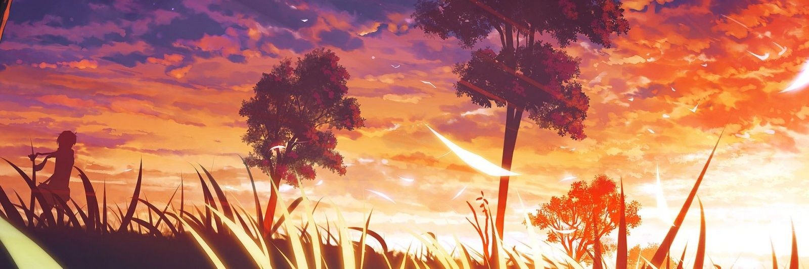 Spectouille's profile banner image