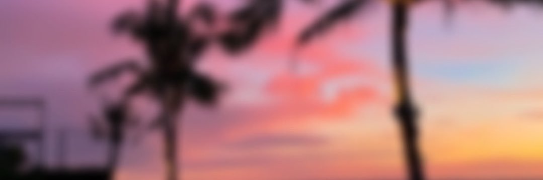 Zohra Pookie banner